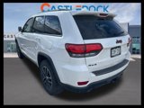 Used 2018 Jeep Grand Cherokee Trailhawk w/ Trailhawk Luxury Group image 6