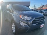 Used 2022 Ford EcoSport SE image 2