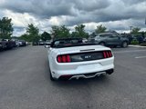 Used 2017 Ford Mustang GT Premium w/ Equipment Group 401A image 5