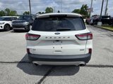 Used 2020 Ford Escape SE Sport image 4