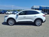 Used 2021 Ford Escape Titanium w/ Titanium Elite Package image 3
