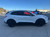 Used 2022 Ford Escape SE w/ Convenience Package image 5