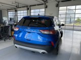 Used 2020 Ford Escape SE Sport image 4