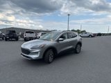 Used 2022 Ford Escape Titanium image 4