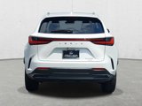 New 2025 Lexus NX 350 AWD w/ Accessory Package (2T) image 6