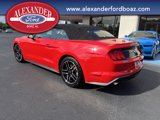 Used 2021 Ford Mustang Premium image 2