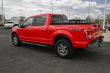 Used 2016 Ford F150 XLT w/ Equipment Group 302A Luxury image 5