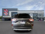 Used 2020 Ford Escape Titanium image 4