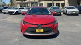Used 2020 Toyota Corolla XLE image 3