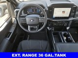 New 2025 Ford F150 STX image 4