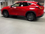 New 2025 Lexus NX 350 AWD w/ Premium Package image 5