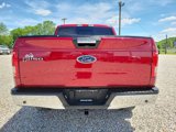 Used 2015 Ford F150 XLT w/ Equipment Group 302A Luxury image 6