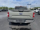 Used 2019 Ford F150 XLT w/ Equipment Group 302A Luxury image 5