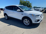 Used 2019 Ford Escape SE image 3