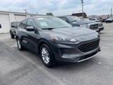 Certified 2020 Ford Escape SE image 4