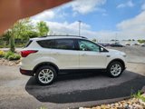 Used 2019 Ford Escape SEL image 6