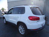 Used 2017 Volkswagen Tiguan Limited w/ Premium Package image 4