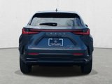 New 2025 Lexus NX 350 AWD w/ Accessory Package (2T) image 6