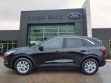 Used 2023 Ford Escape Active w/ Tech Pack #1 image 4