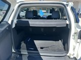 Used 2020 Ford EcoSport SES image 5