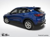 Used 2023 Ford Escape Active w/ Tech Pack #2 image 3