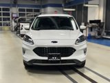 Used 2022 Ford Escape SEL w/ Technology Package image 2
