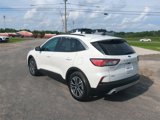 Used 2020 Ford Escape SEL image 6