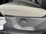 Used 2019 Ford F150 XL w/ Equipment Group 101A Mid image 3