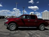 Used 2014 Ford F150 XLT w/ Equipment Group 302A Luxury image 2