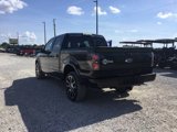 Used 2010 Ford F150 Harley-Davidson image 5