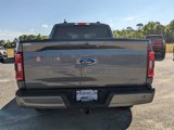 Used 2023 Ford F150 XLT w/ Equipment Group 302A High image 5