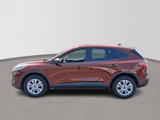 Used 2021 Ford Escape S image 4