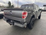 Used 2010 Ford F150 XLT image 6