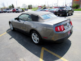 Used 2010 Ford Mustang Convertible image 3