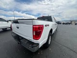 Used 2022 Ford F150 XLT w/ Equipment Group 301A Mid image 6