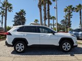 Used 2024 Toyota RAV4 LE image 5
