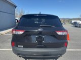 Certified 2022 Ford Escape SEL w/ SEL Stealth AWD Package image 4
