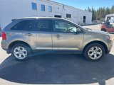 Used 2014 Ford Edge SEL w/ Equipment Group 205A image 2