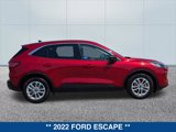 Certified 2022 Ford Escape SE image 6