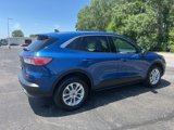 Used 2022 Ford Escape SE w/ Convenience Package image 4