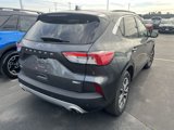 Used 2020 Ford Escape SEL image 2
