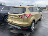 Used 2014 Ford Escape SE w/ Equipment Group 201A image 2