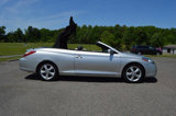 Used 2008 Toyota Solara SLE image 5