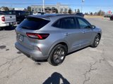 Used 2023 Ford Escape ST-Line image 3