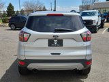 Used 2017 Ford Escape SE w/ Equipment Group 201A image 4