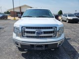 Used 2014 Ford F150 XLT w/ Equipment Group 302A Luxury image 2