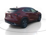 Used 2019 Lexus NX 300h AWD w/ Luxury Package image 3