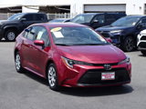 Certified 2024 Toyota Corolla LE image 2
