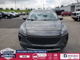 Used 2020 Ford Escape SE image 2