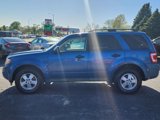 Used 2009 Ford Escape XLT image 4
